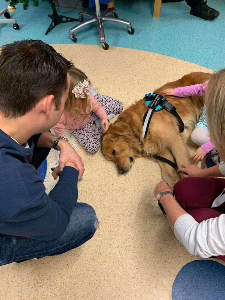 Dogs being hired at hospitals to help kids during scary procedures