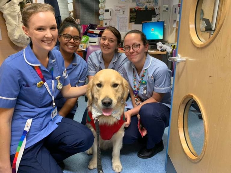 Dogs being hired at hospitals to help kids during scary procedures