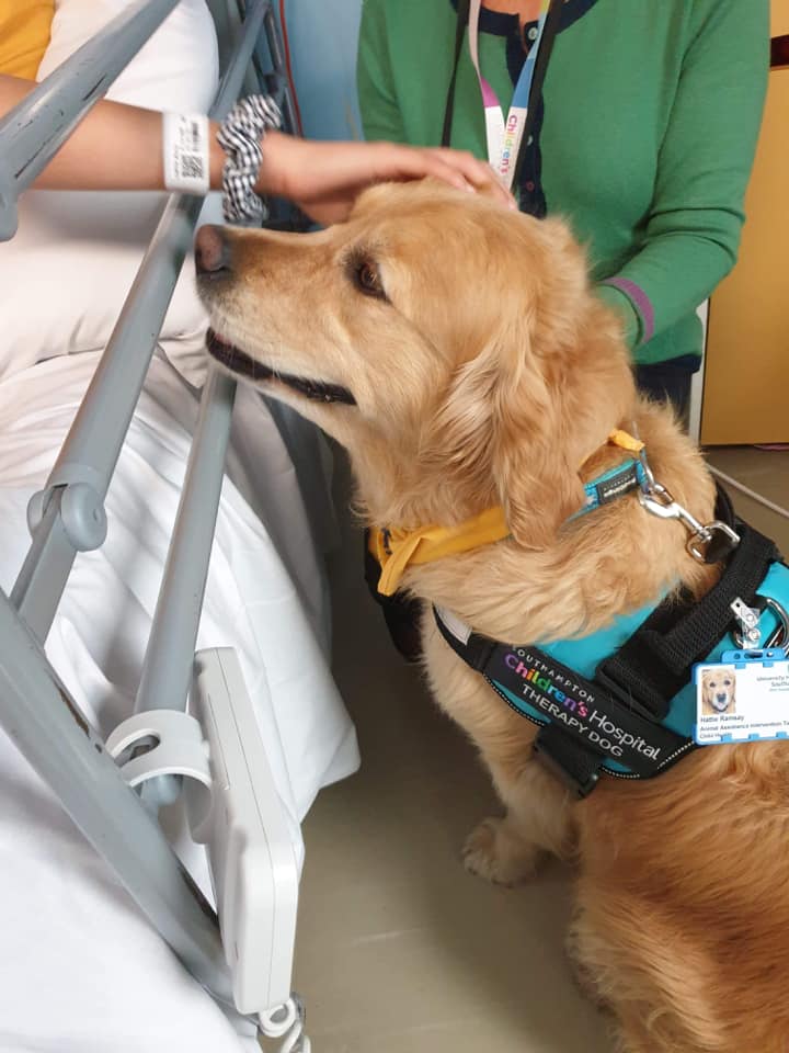 Dogs being hired at hospitals to help kids during scary procedures