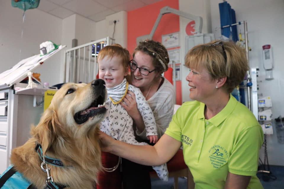 Dogs being hired at hospitals to help kids during scary procedures