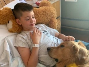 Dogs being hired at hospitals to help kids during scary procedures
