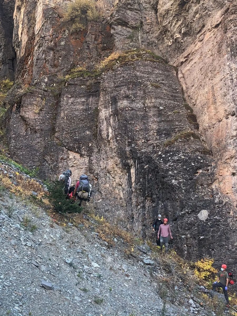 Brave hiker risks her life to save stranded, terrified puppy