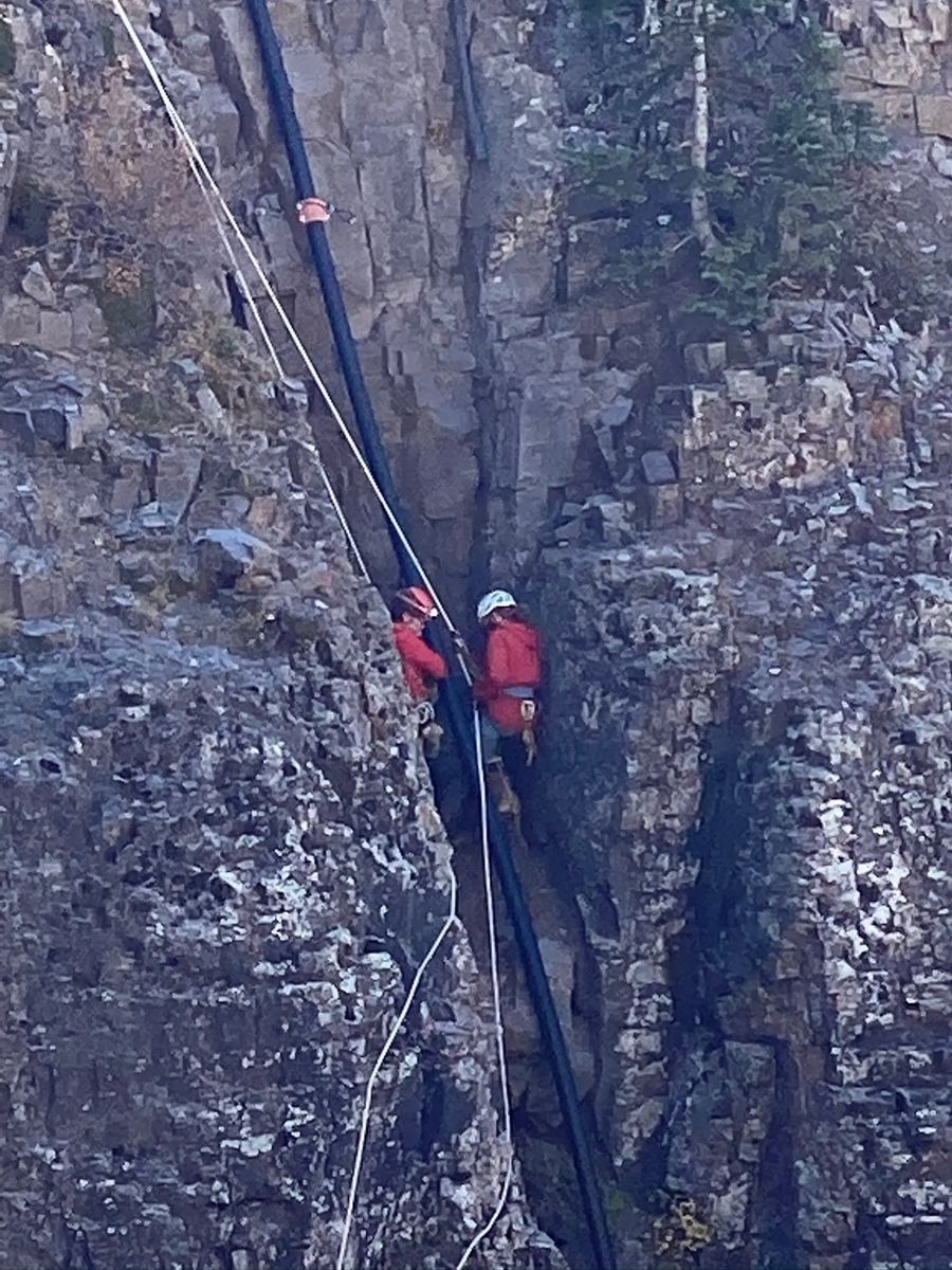 Brave hiker risks her life to save stranded, terrified puppy